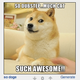 Illustration for article titled We who spoke LOLcat now speak Doge